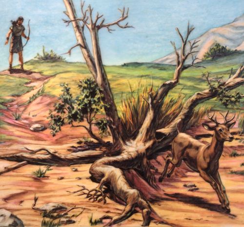 Old Testament Stories