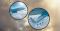 Mechanics of Flight
