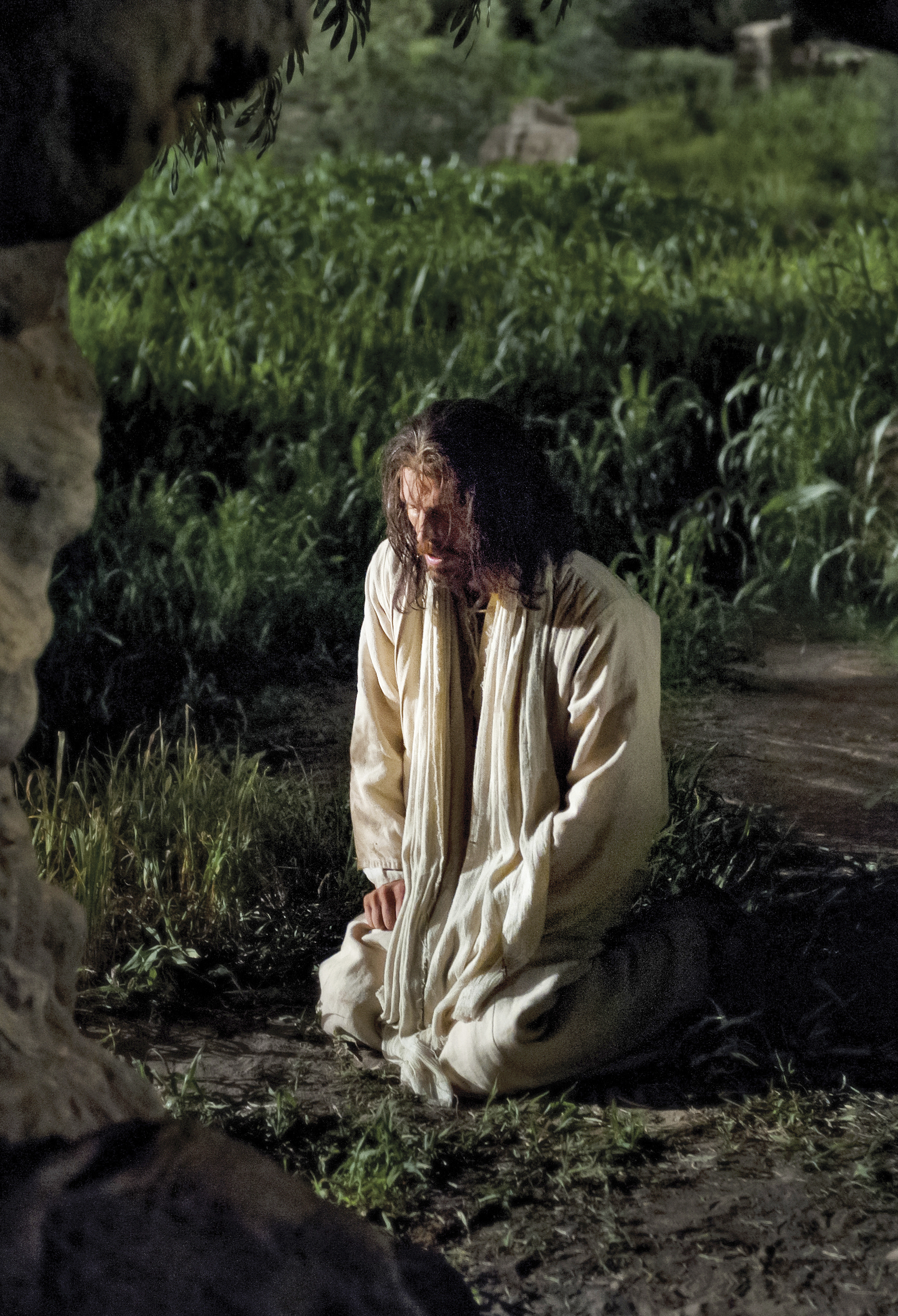 jesus christ praying in the garden of gethsemane