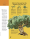 Ensign Magazine, 2020/03 Mar