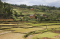 Madagascar: Farm Lands