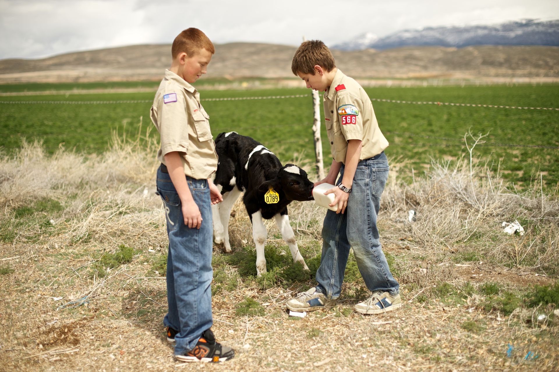 Boy Scouts Working 3458