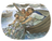 fishermen on a boat