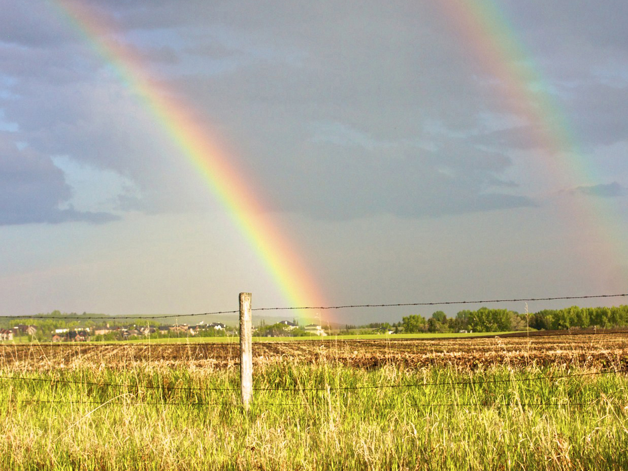 double rainbow