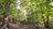 Special Project Church History Kirtland Morley Farm