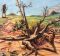 Old Testament Stories