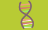 DNA strand