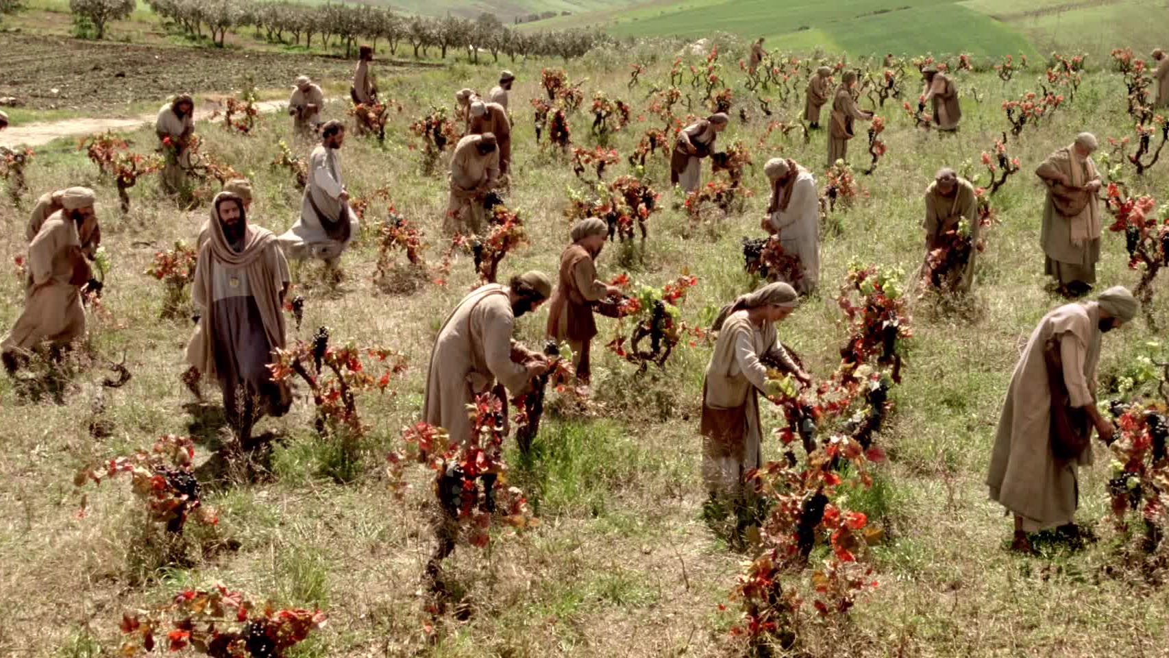 laborers-in-the-vineyard