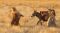 Mary, Joseph, and Jesus Flee to Egypt