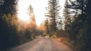 A dirt road winds through a forest at sunset showing the hand of God in all things