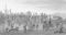 The Mormon Battalion