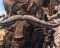 Old Testament Stories