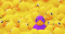 Rubber Duckies