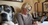 woman studying scriptures