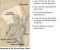 New Testament Student Manual : Religion 211-212