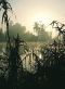 Nile River