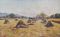 The Harvest