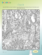 hidden picture of Amazan rainforest animals