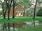 Illinois. Hancock Co. Nauvoo Red brick store