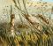 Old Testament Stories