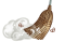 Sweeping Broom