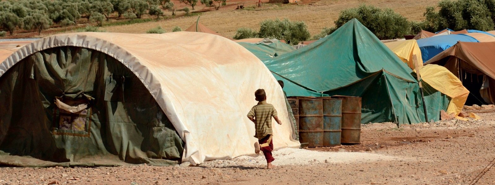 Syrian Kid Refugee Fake Id
