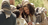 Jesus talking to small child