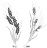 Wheat and tares