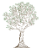 Trees and leaves