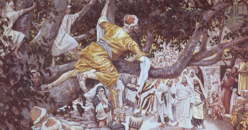 Zacchaeus in the Sycamore Tree