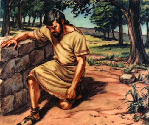 Noah praying