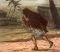 Old Testament Stories