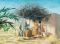 Old Testament Prophet Teaching from the Scriptures