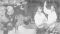 John Taylor baptizing in England