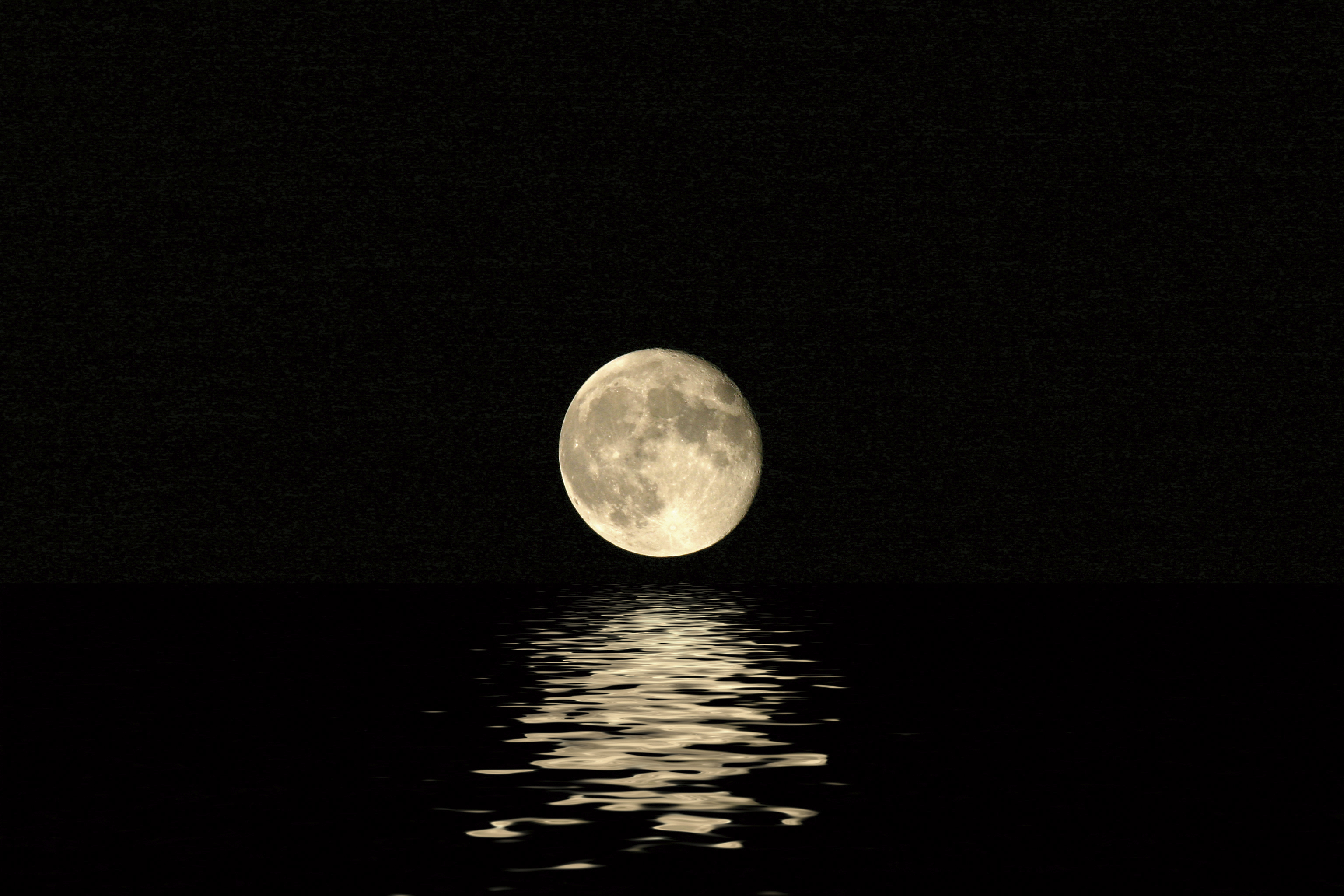 Harvest Moon
