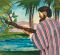 Old Testament Stories