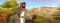 Old Testament Stories: Young David