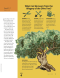 Liahona Magazine, 2020/03 Mar