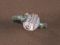 Ancient Seal in a Silver Ring