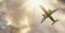 Mechanics of Flight