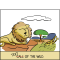 Lion Illustration