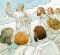 Doctrine and Covenants stories