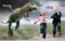 Dinosaur