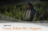the Savior in Gethsemane