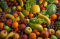 Fruits and Vegetables