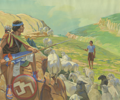 guard with sheep