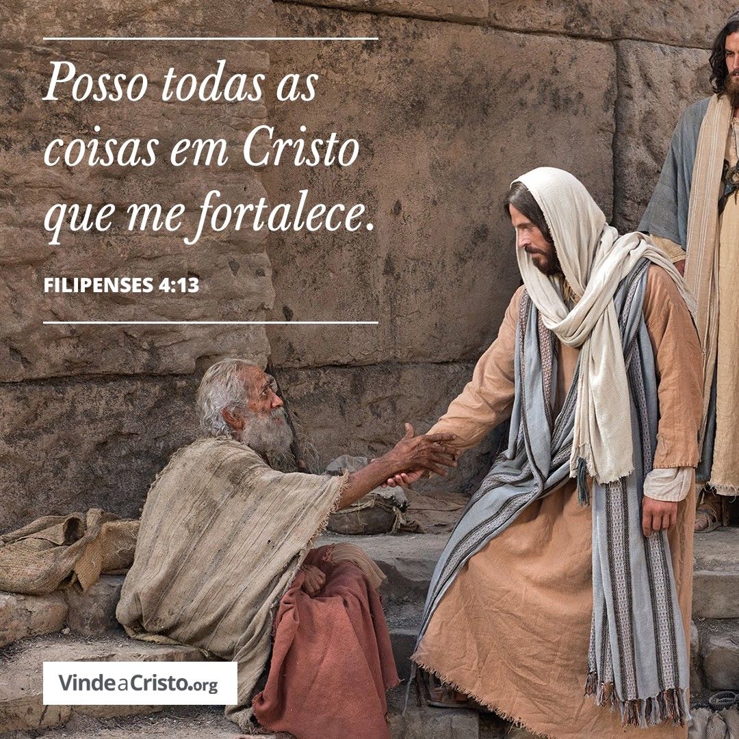 o amigo ama