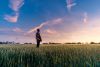 man in field looking at sunset