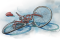 broken bicycle