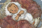 Childhood of Jesus